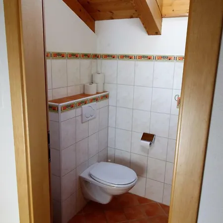 Tatil Evi Chalet Pengelstein - Ski & Bike In/out